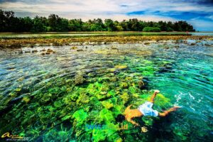 wisaata pulau harapan