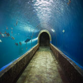 terowongan bawah laut